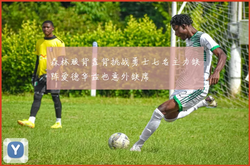 森林狼背靠背挑战勇士七名主力缺阵爱德华兹也意外缺席