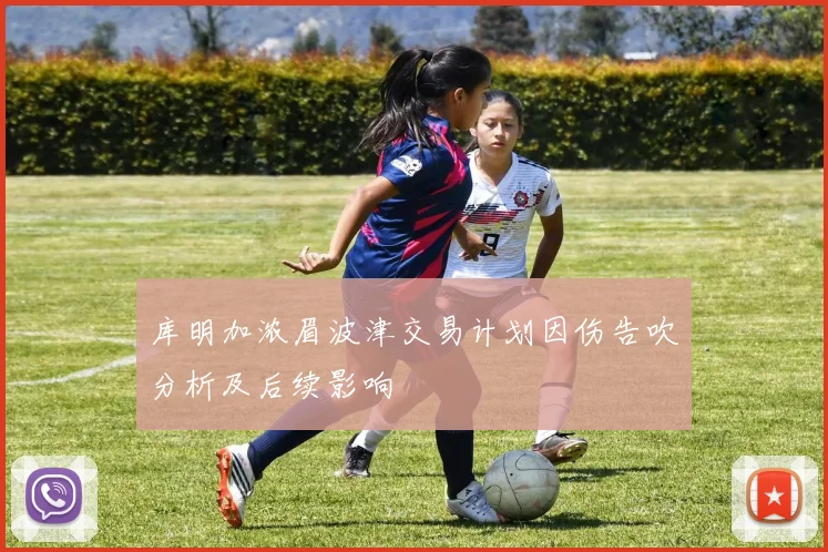 库明加浓眉波津交易计划因伤告吹分析及后续影响