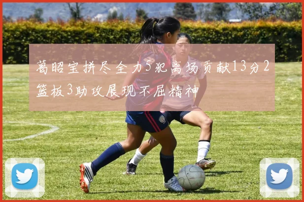 葛昭宝拼尽全力5犯离场贡献13分2篮板3助攻展现不屈精神